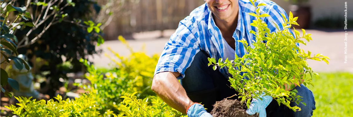 WäNDE FüR DAS GRüNE ZIMMER!