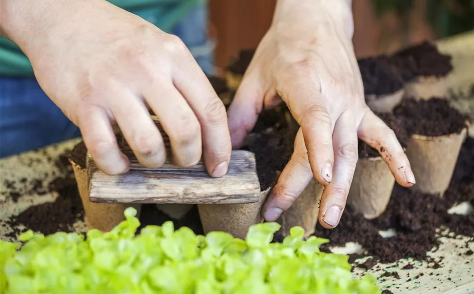 VIDEOS - TIPPS UND TRICKS!