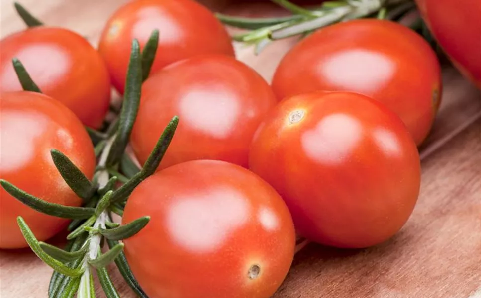 Nutzgarten - Leckereien aus dem Garten!