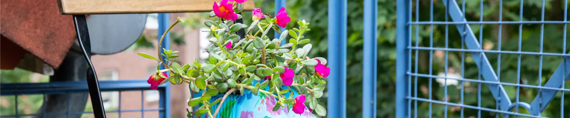 Upcycling - Pflanze in Gummistiefel