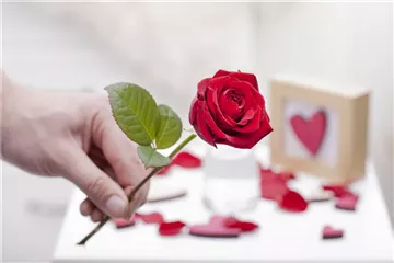 BLUMIGER VALENTINSTAG!