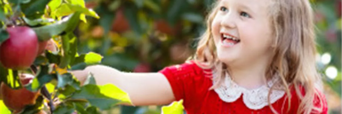 OBSTGARTEN FÜR KINDER