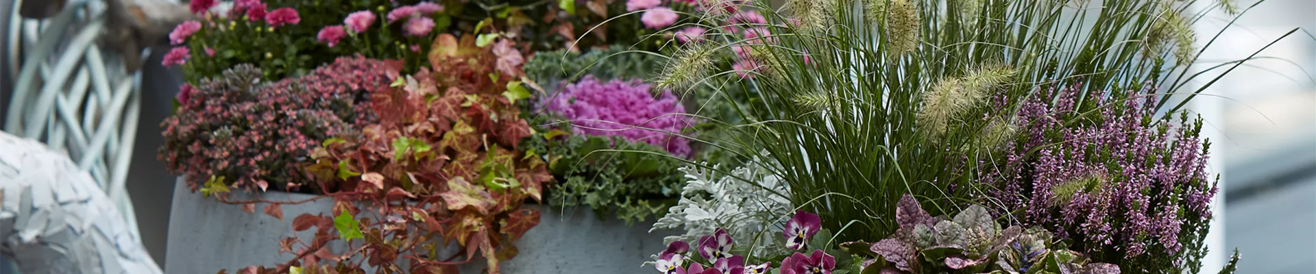 PFLANZ DIR GUTE HERBSTLAUNE!