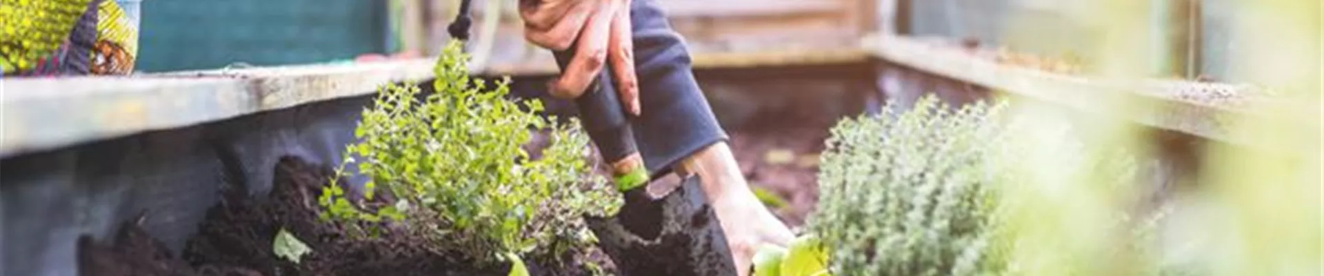 EIN HOCH AUF'S HOCHBEET! 