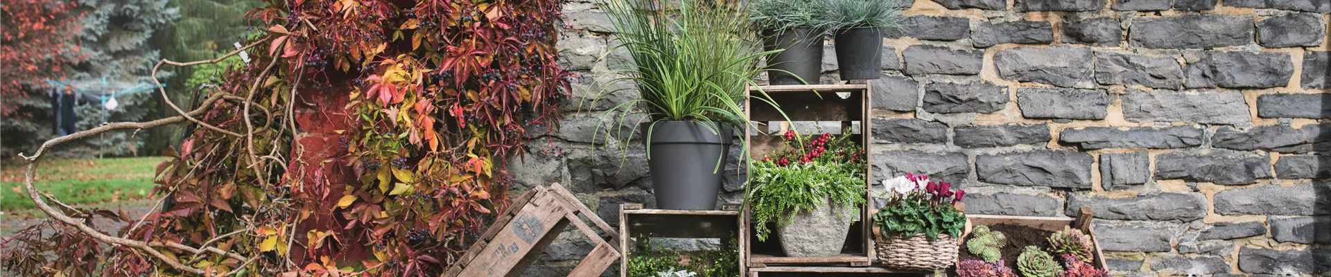 WIR SIND FEUER & FLAMME! 