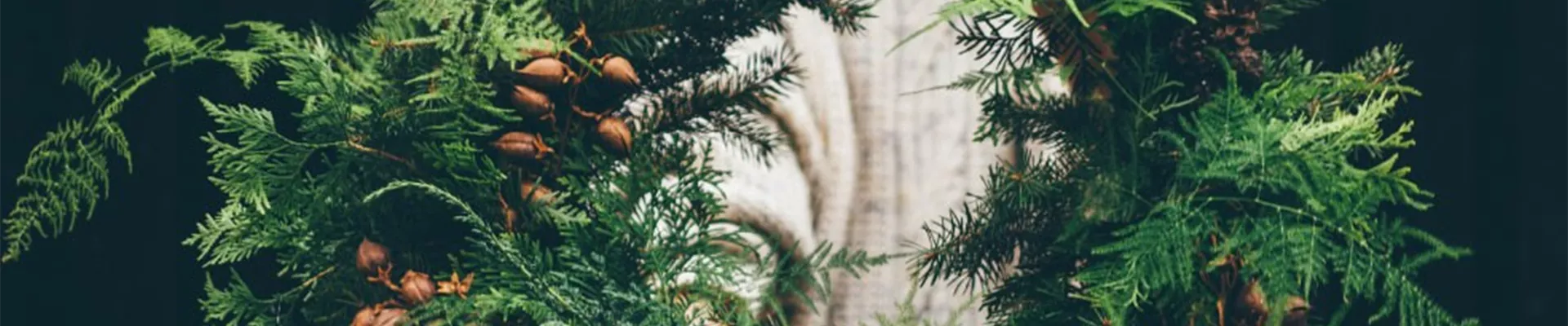 ADVENT, ADVENT – EIN KERZLEIN BRENNT!