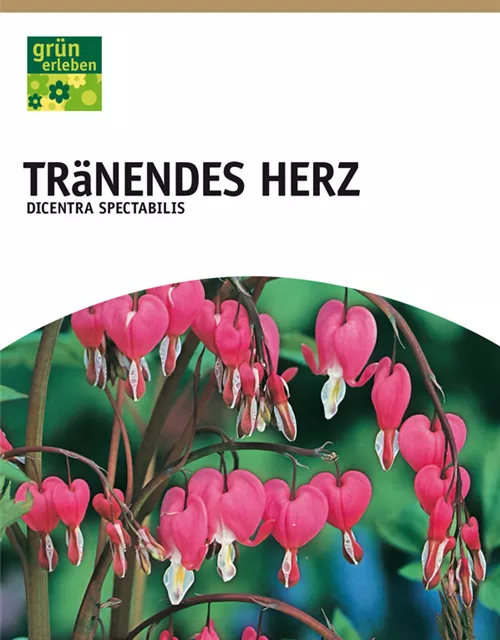 Tränendes Herz