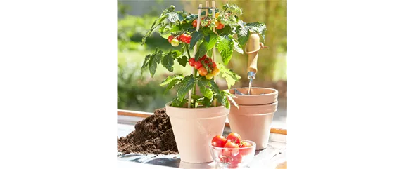 SOMMERKüCHE IM GRüNEN! 