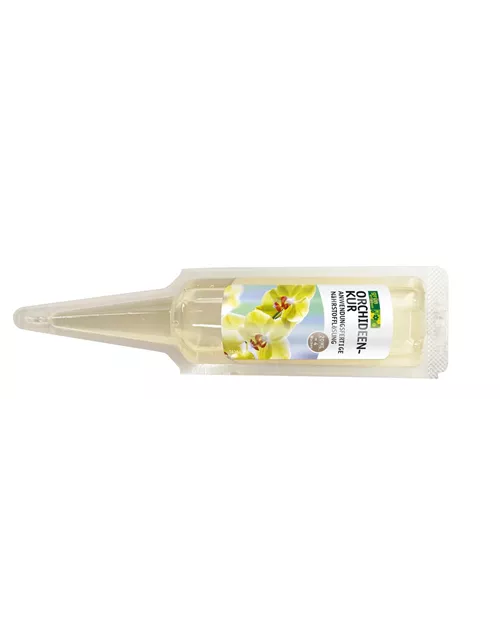Grün erleben Orchideen Kur
