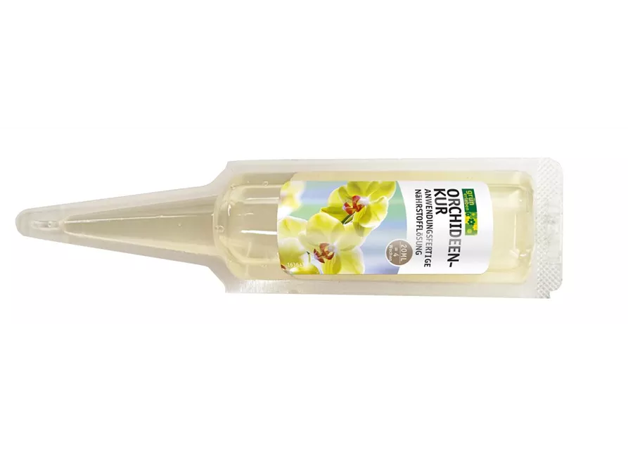 Grün erleben Orchideen Kur