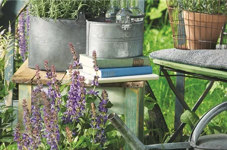 SOMMER IM STAUDENGARTEN!